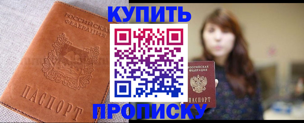 прописка поиск в Алейске